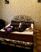 Анкета проститутки Галина - метро Хамовники, возраст - 21