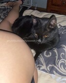 Анкета проститутки Тамара - метро Ломоносовский, возраст - 23